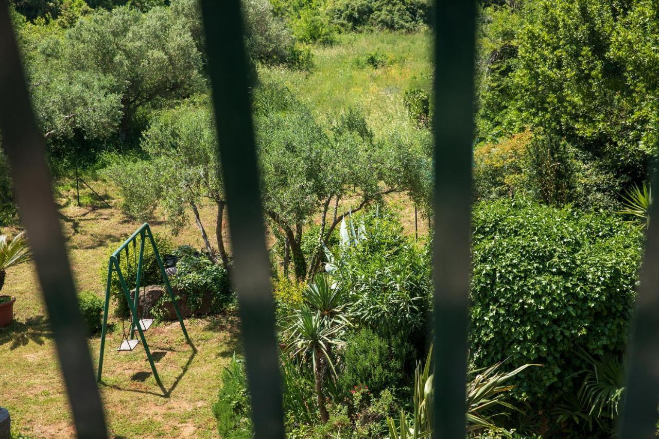 Villa Mareonda - Apartments Sussurro Rovinj Zewnętrze zdjęcie