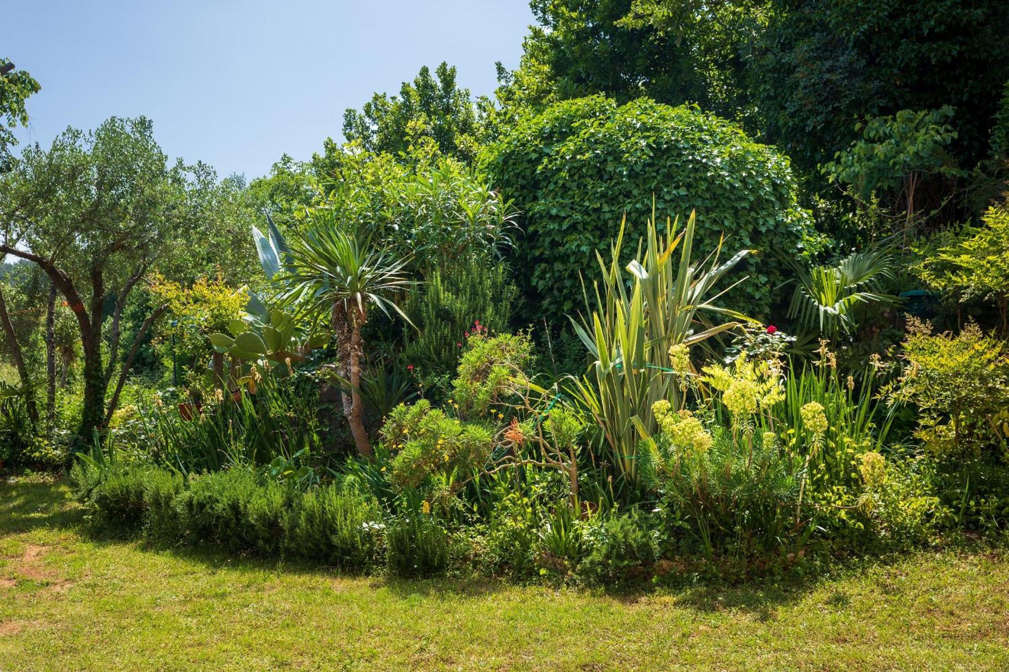 Villa Mareonda - Apartments Sussurro Rovinj Zewnętrze zdjęcie